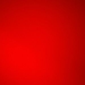 Meet your Posher, Daisy